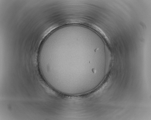 X0000115330786200911231411