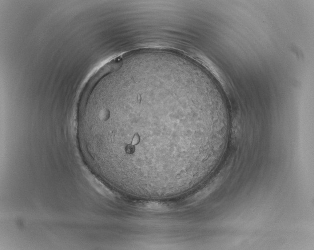 X0000115330787200911231411