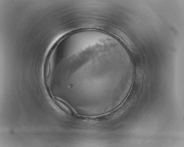 X0000115330788200911231411