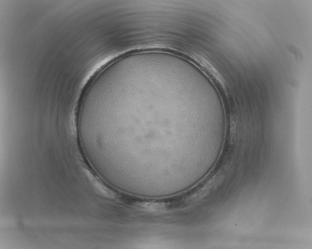 X0000115330789200911231411