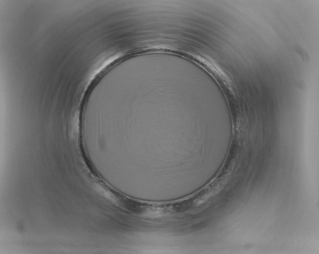 X0000115330790200911231411