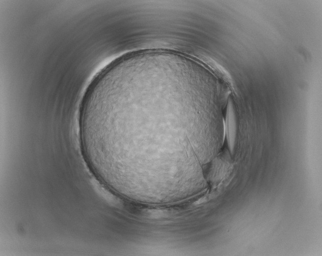 X0000115330792200911231411