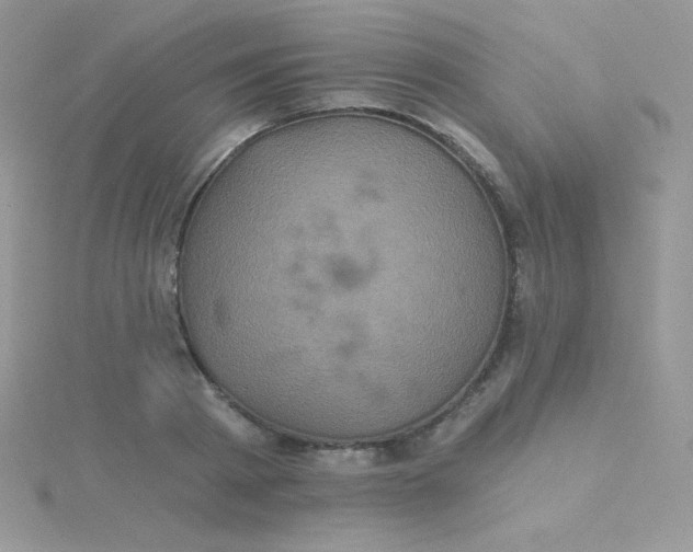 X0000115330793200911231411