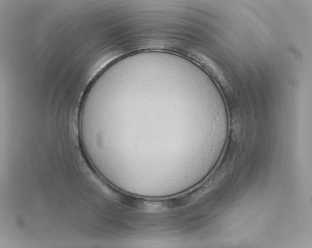 X0000115330794200911231411