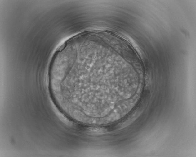 X0000115330795200911231411