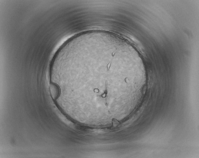 X0000115330796200911231411