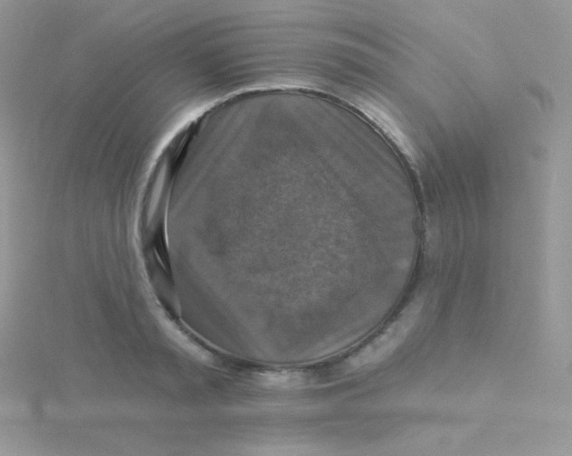 X0000115330797200911231411