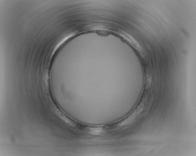 X0000115330798200911231411