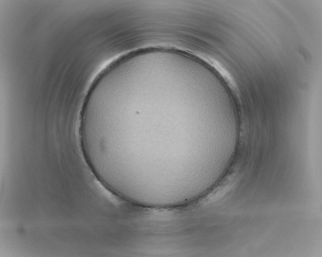 X0000115330799200911231411