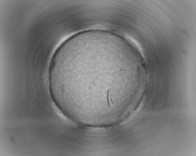 X0000115330800200911231411