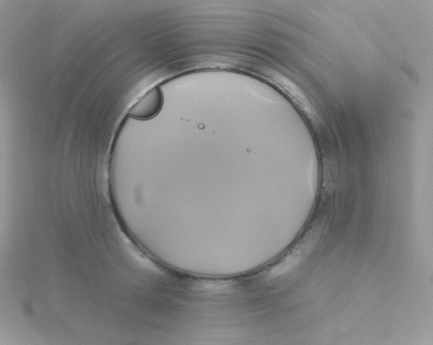 X0000115330802200911231411