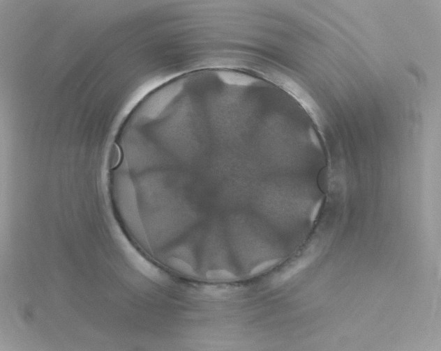 X0000115330803200911231411