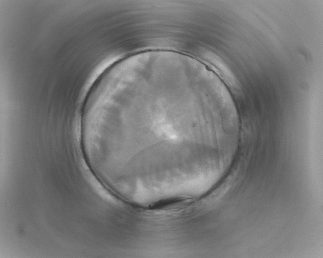 X0000115330804200911231411