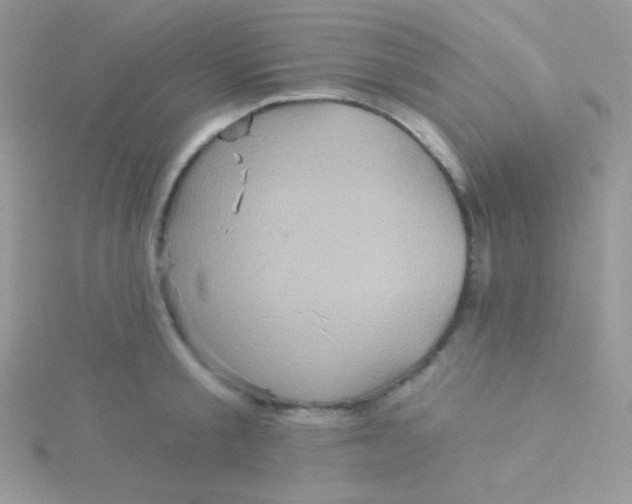 X0000115330805200911231411