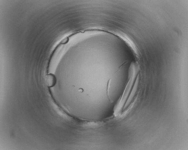 X0000115330806200911231411