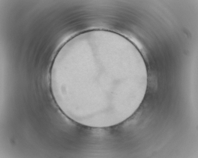 X0000115330807200911231411