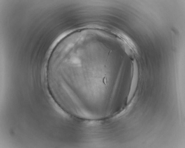 X0000115330808200911231411