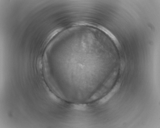 X0000115330809200911231411