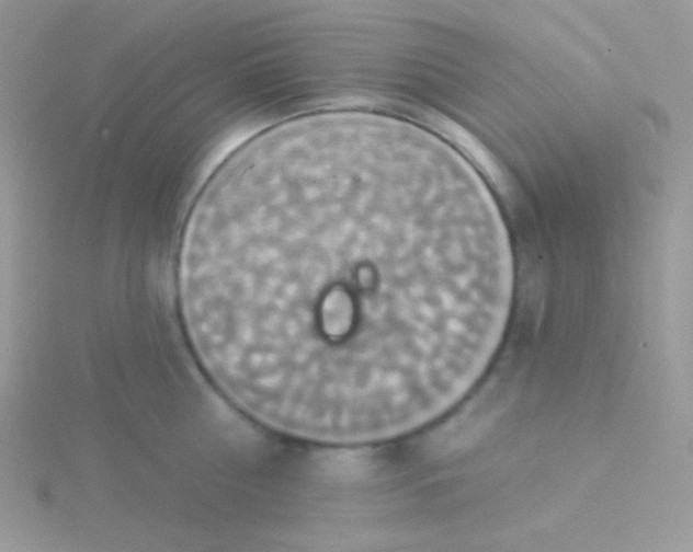 X0000115330810200911231411