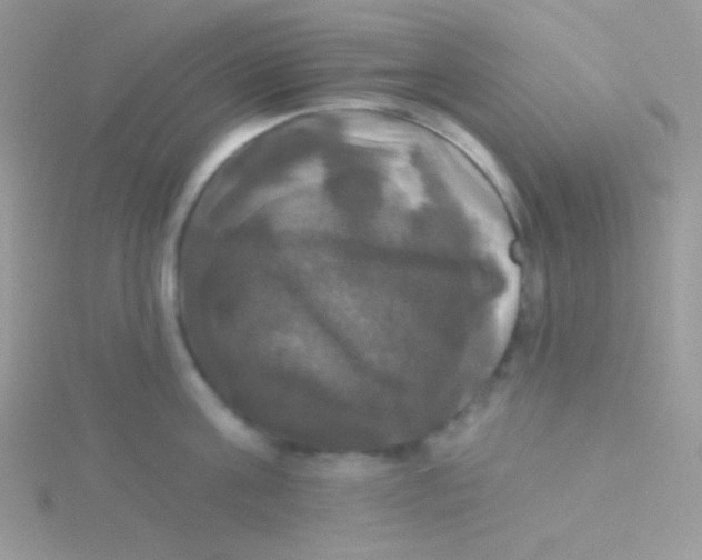 X0000115330811200911231411