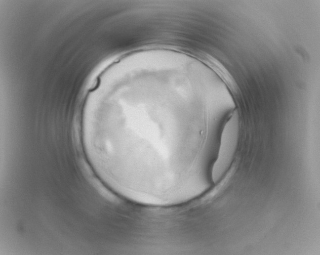 X0000115330812200911231411