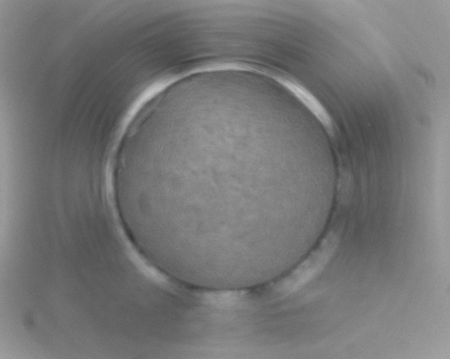 X0000115330813200911231411