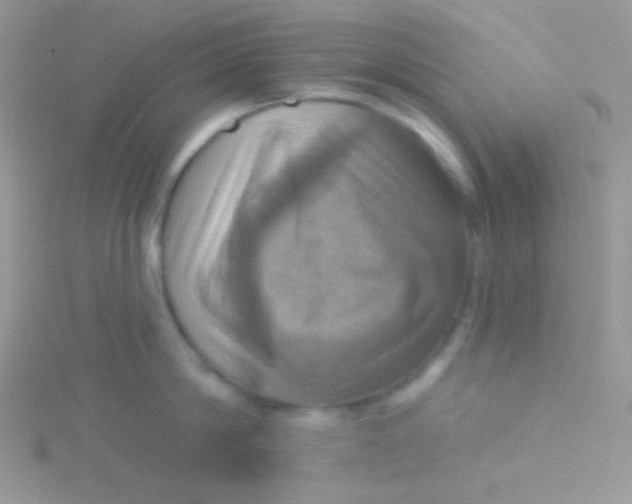 X0000115330814200911231410