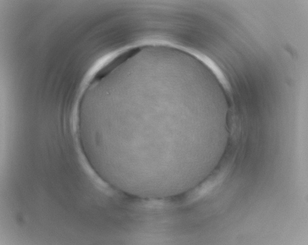 X0000115330815200911231410