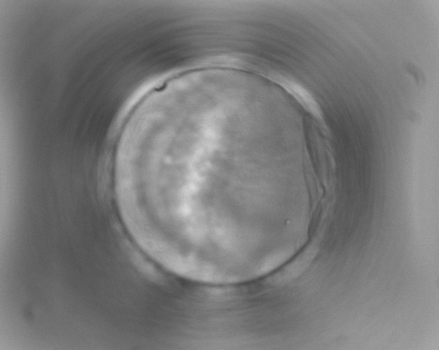 X0000115330816200911231410