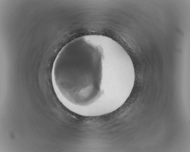 X0000115330817200911231410