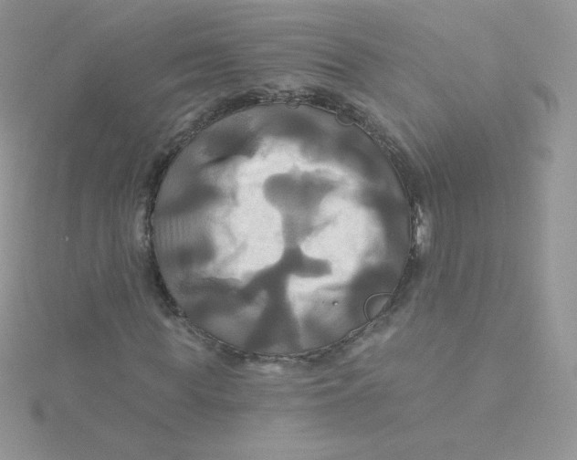 X0000115330819200911231410