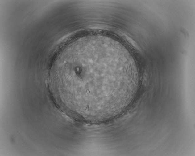 X0000115330821200911231410