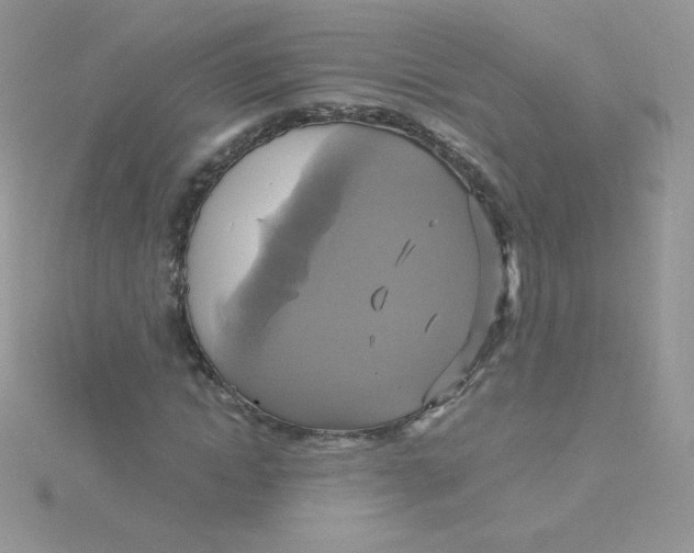 X0000115330822200911231410