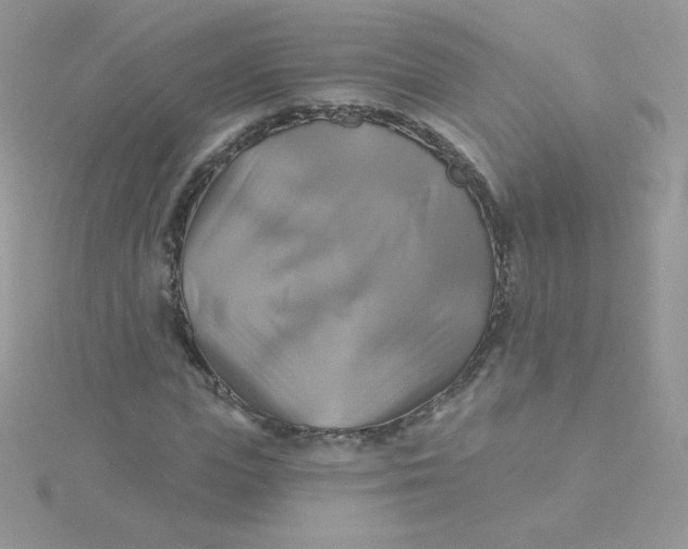 X0000115330823200911231410