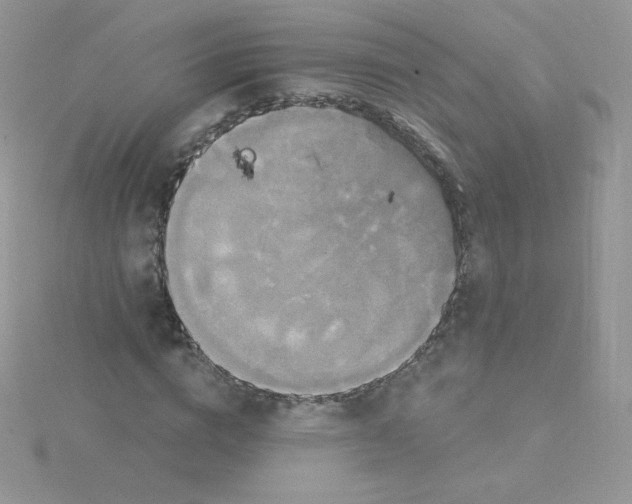 X0000115330824200911231410