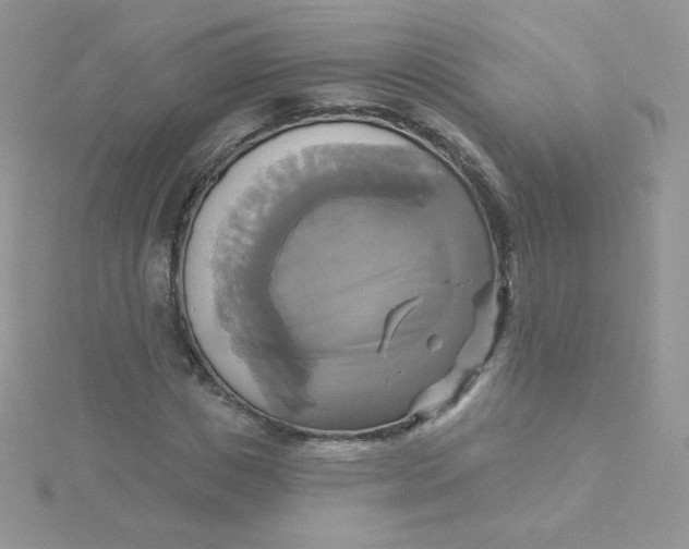 X0000115330825200911231410