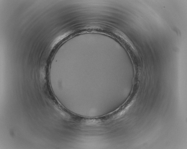 X0000115330826200911231410