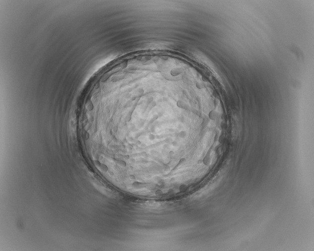 X0000115330827200911231410