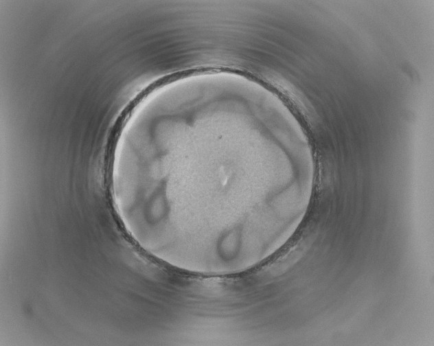 X0000115330828200911231410