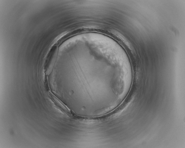 X0000115330829200911231410