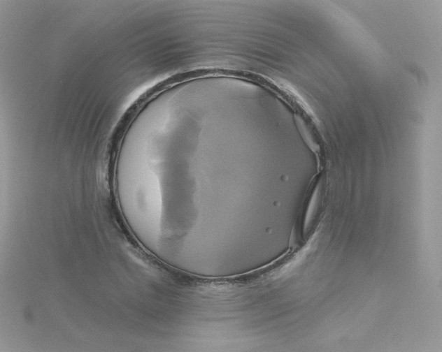 X0000115330830200911231410