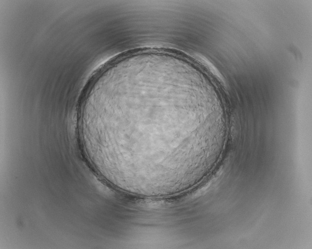 X0000115330831200911231410