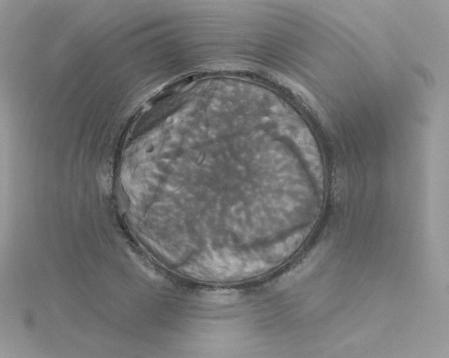 X0000115330833200911231410