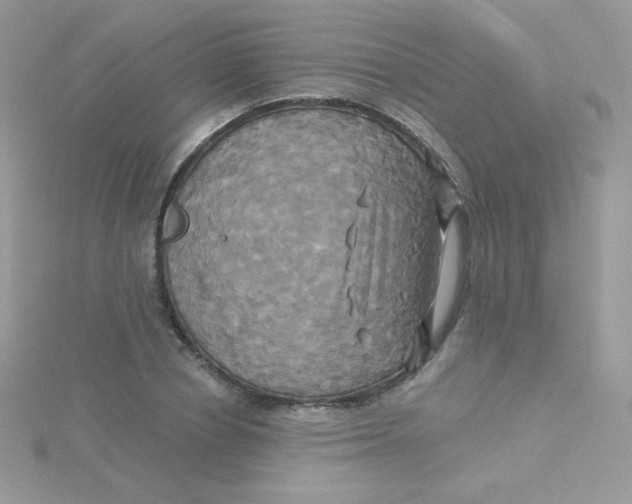 X0000115330834200911231410