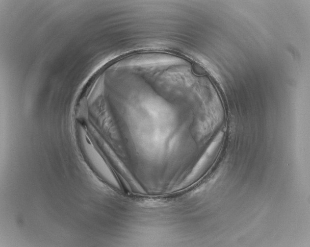 X0000115330835200911231410