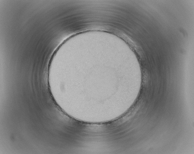 X0000115330836200911231410