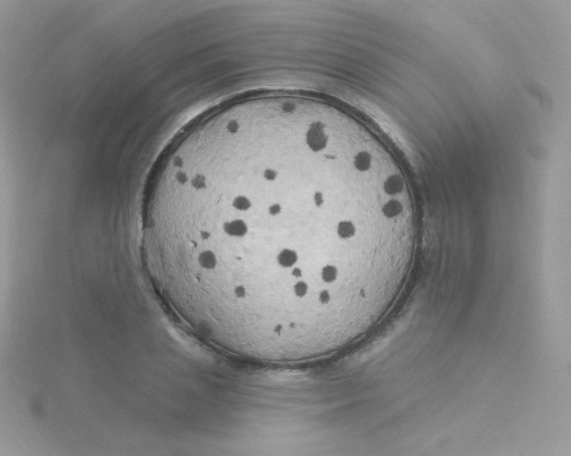 X0000115330837200911231410