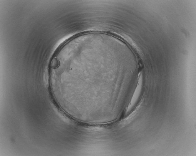 X0000115330838200911231410