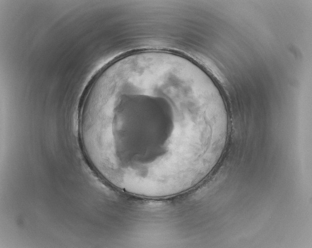 X0000115330839200911231410