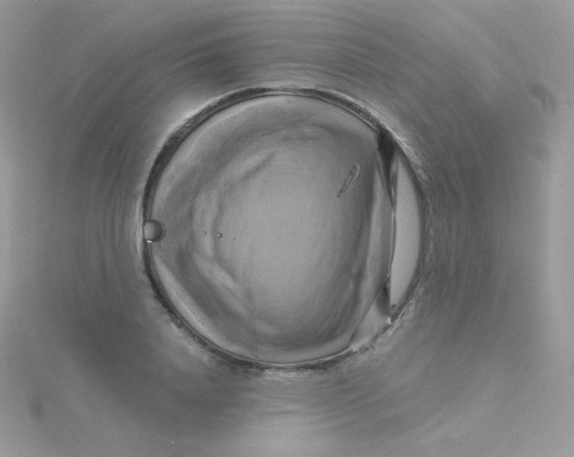 X0000115330840200911231410